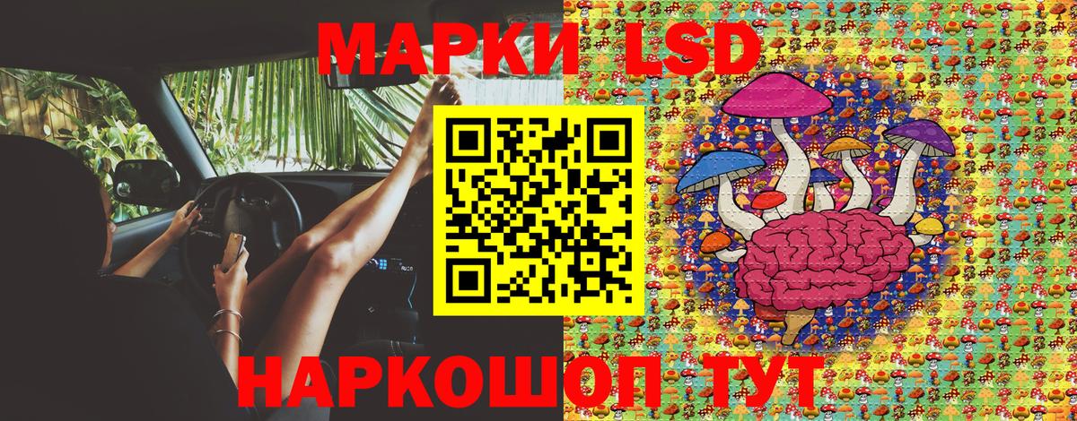 Марки N-bome 1,5мг  где продают наркотики  Киселёвск  Марки N-bome 1,5мг 