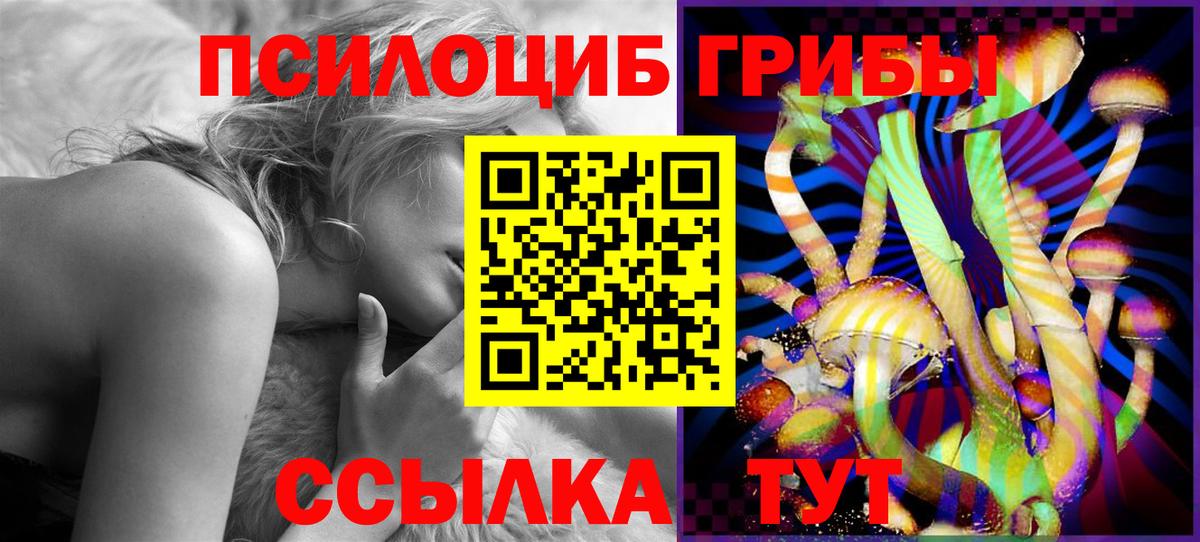 Галлюциногенные грибы GOLDEN TEACHER Киселёвск