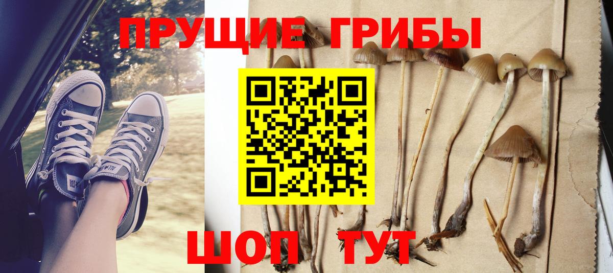 Как найти закладки?  LSD-25  Вейп ТГК  Кокаин  Киселёвск  NBOMe  Вход с VPN  Гашиш  ГЕРОИН  МАРИХУАНА  Меф  