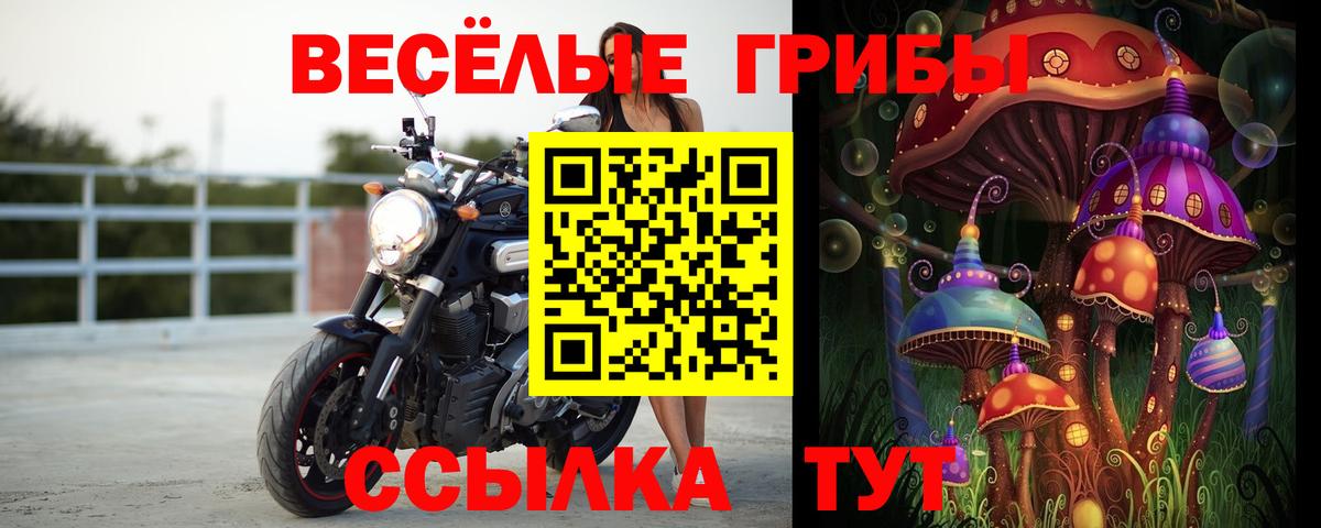 Псилоцибиновые грибы прущие грибы Киселёвск