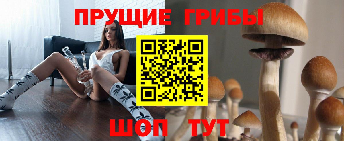 Галлюциногенные грибы мицелий  Галлюциногенные грибы мицелий  Киселёвск 