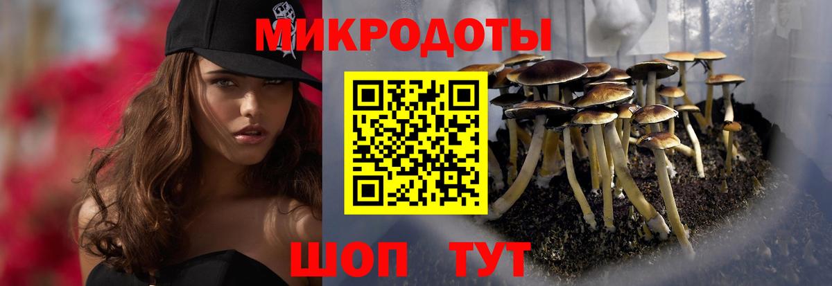 Галлюциногенные грибы мицелий  Псилоцибиновые грибы Psilocybine cubensis  Киселёвск  Вход с VPN 